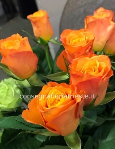 Rose arancio misura media