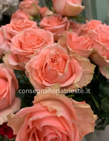 Rose colore rosa da comporre in mazzo per numero di steli.