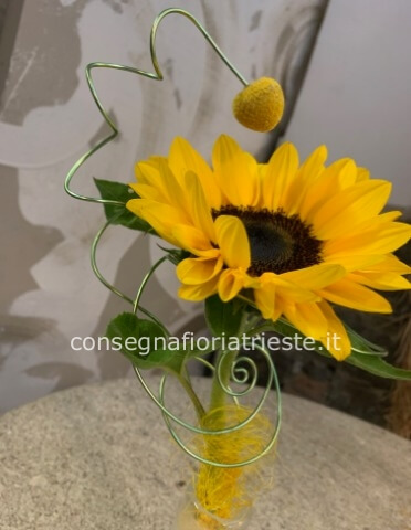 girasole singolo stile