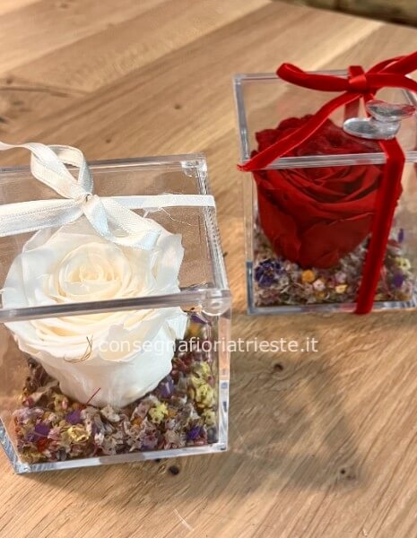 Rosa stabilizzata in cubo di plexi