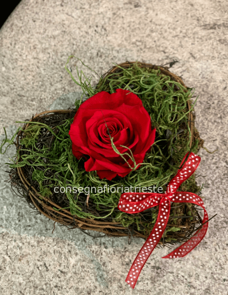 composizione rosa stabilizzata 15x14 cm