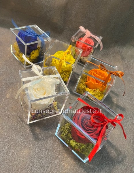 box trasparente in plexi con rose stabilizzate 8x8x8 cm