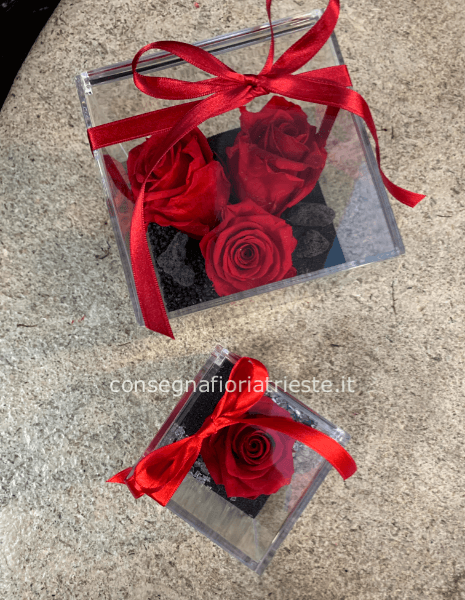 box trasparente in plexi con rose stabilizzate