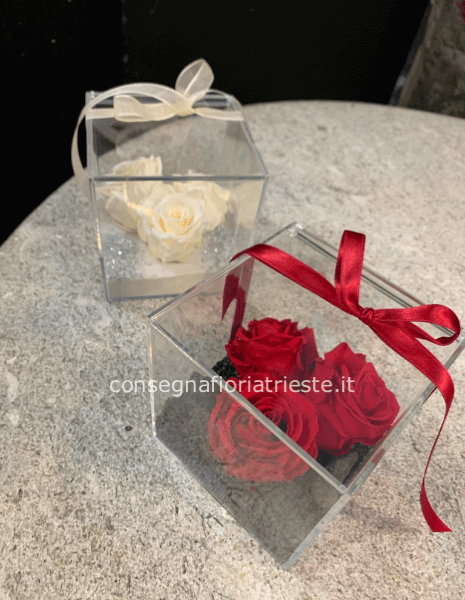 Box  trasparente con 3 rose stabilizzate